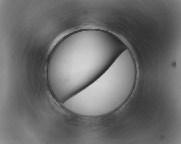 X0000113911246200909241257