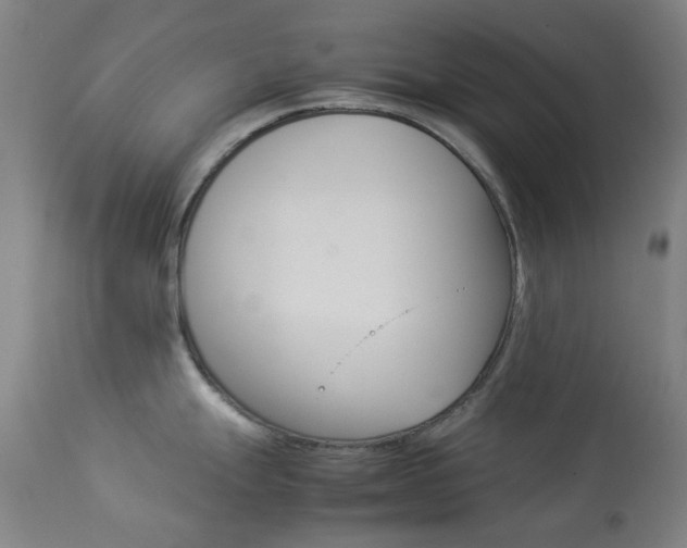 X0000113911247200909241257