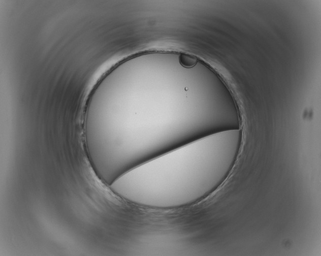 X0000113911248200909241258
