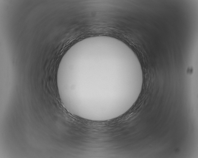 X0000113911249200909241257