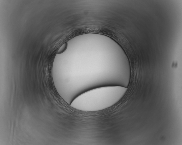 X0000113911250200909241257