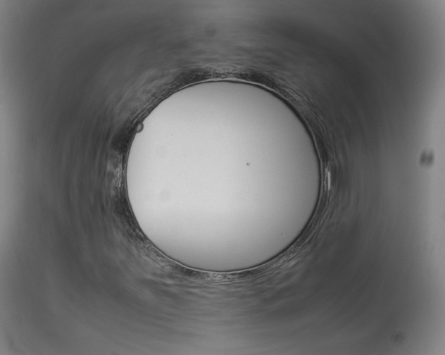 X0000113911251200909241257