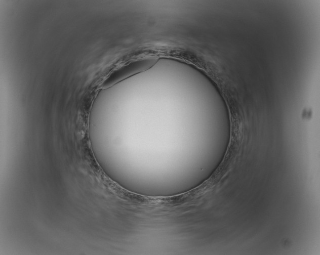 X0000113911253200909241257