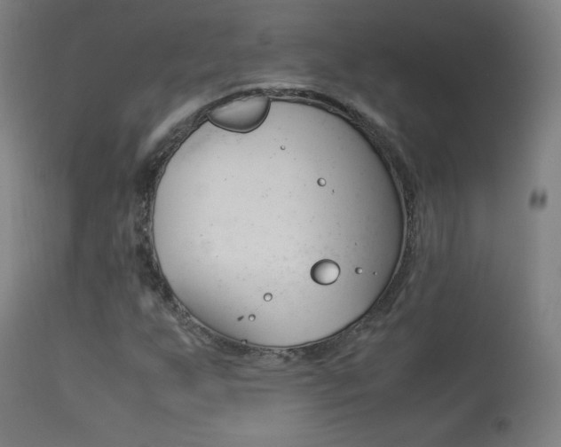 X0000113911255200909241257