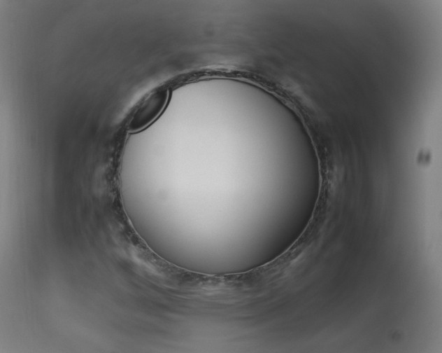 X0000113911256200909241257