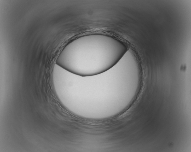 X0000113911257200909241257