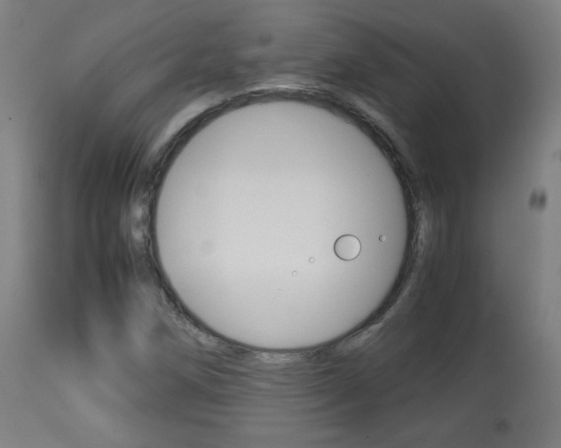 X0000113911258200909241257