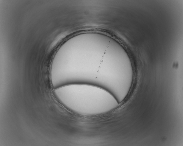 X0000113911259200909241257