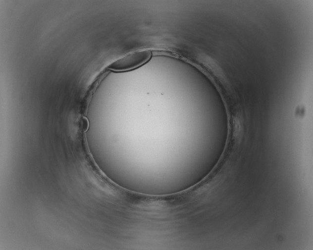 X0000113911260200909241257