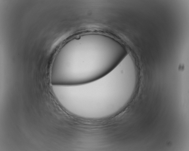 X0000113911261200909241257