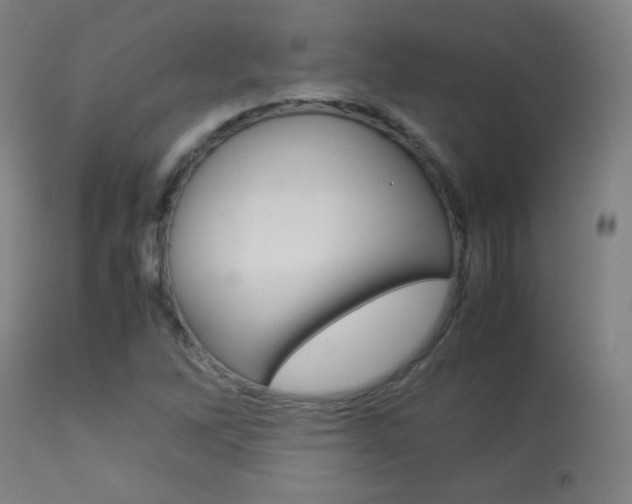 X0000113911262200909241257