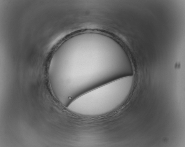 X0000113911263200909241257