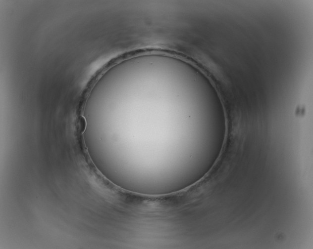 X0000113911264200909241257