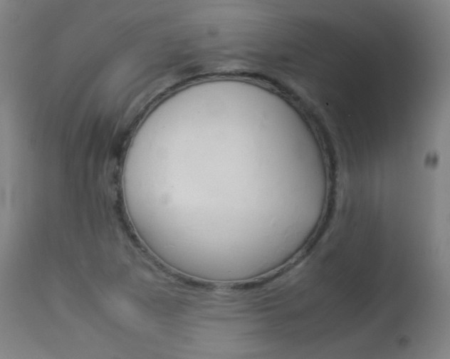 X0000113911265200909241257