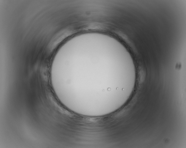 X0000113911266200909241257