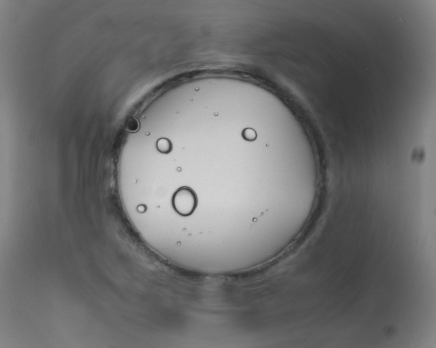 X0000113911267200909241257