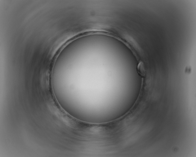 X0000113911268200909241257