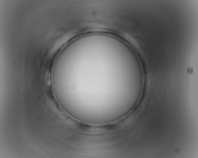 X0000113911269200909241257