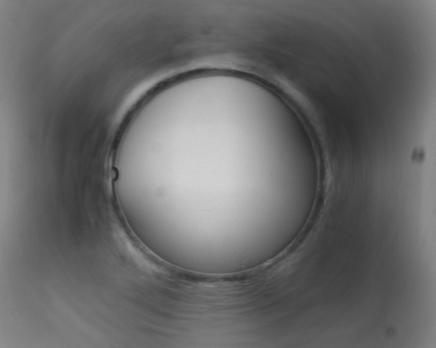 X0000113911272200909241257