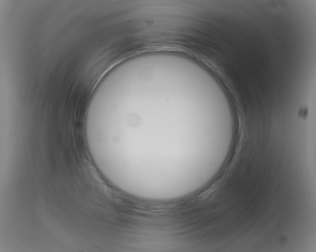 X0000113911273200909241257