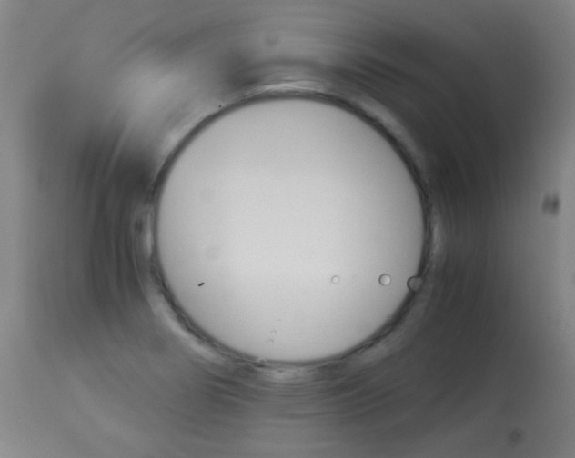 X0000113911274200909241257