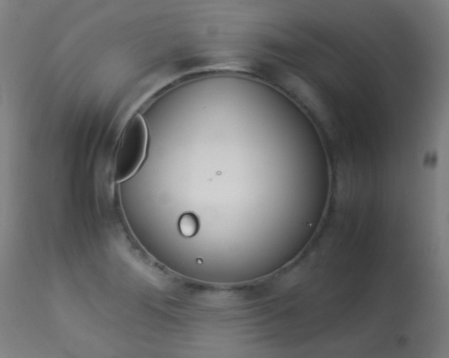 X0000113911276200909241256