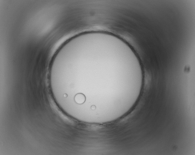 X0000113911278200909241256