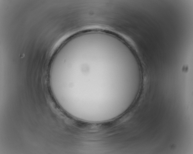 X0000113911279200909241256