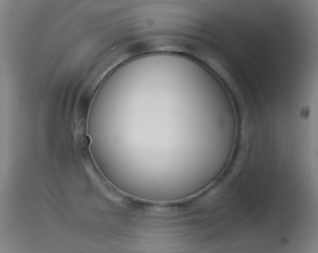 X0000113911281200909241256