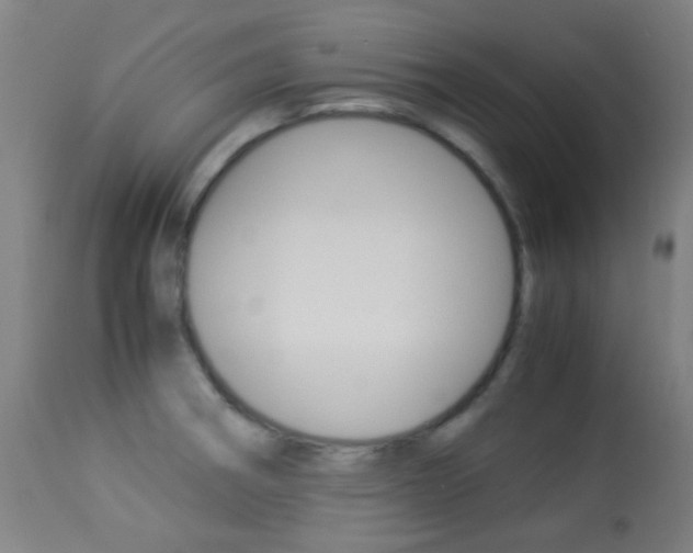 X0000113911282200909241256