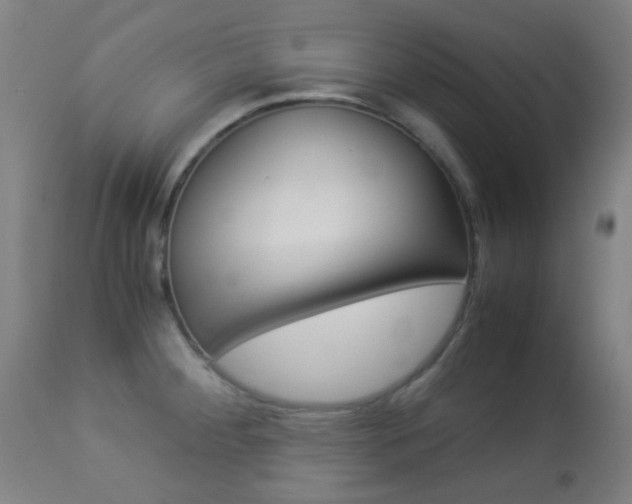 X0000113911284200909241256