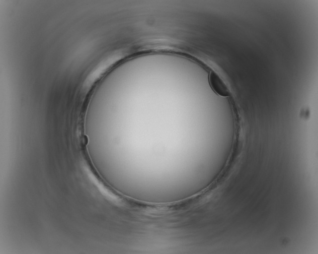 X0000113911285200909241256