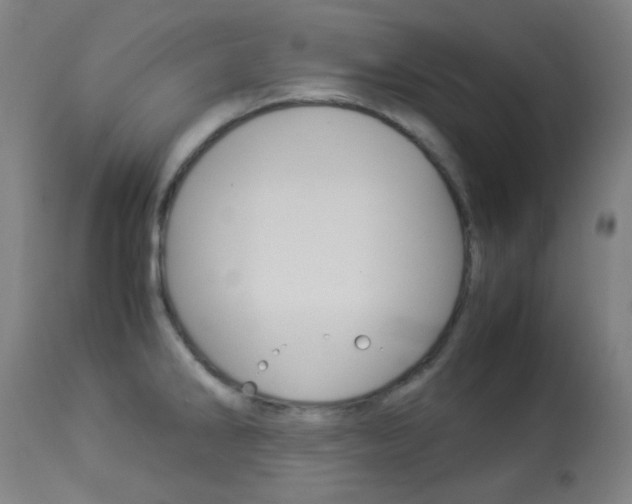 X0000113911286200909241256