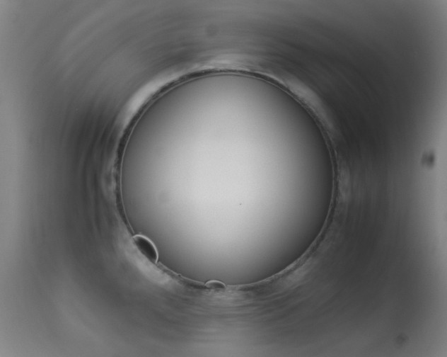 X0000113911288200909241256