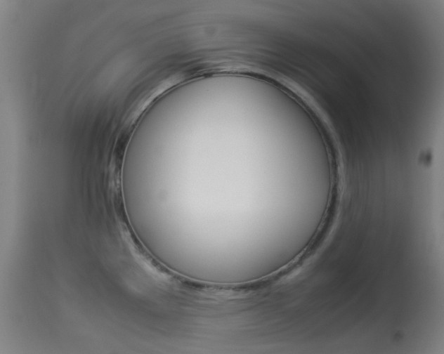 X0000113911289200909241256