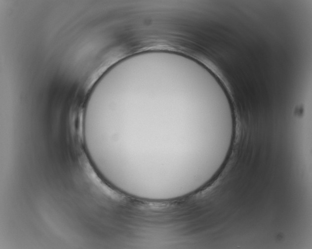 X0000113911290200909241256