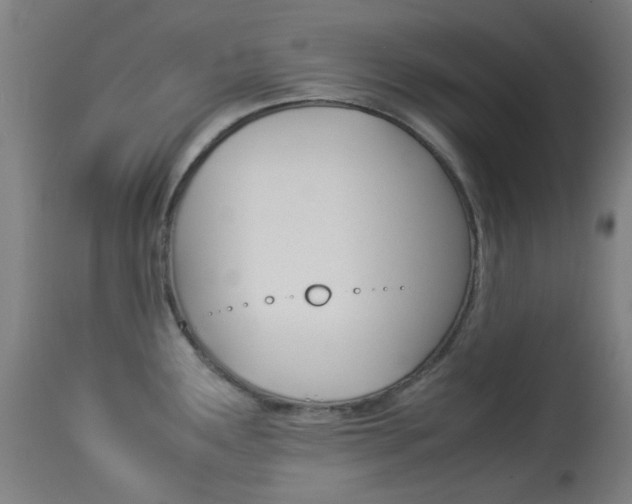 X0000113911291200909241256