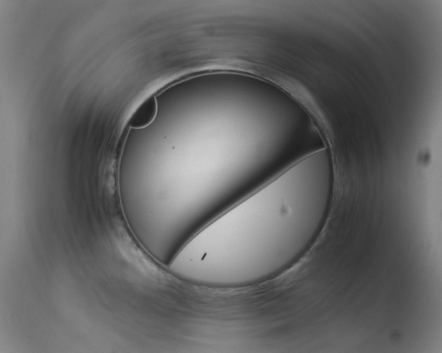 X0000113911292200909241256