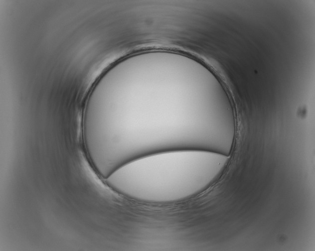 X0000113911295200909241256