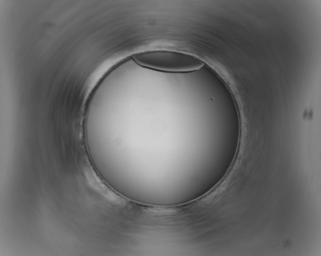 X0000113911296200909241256