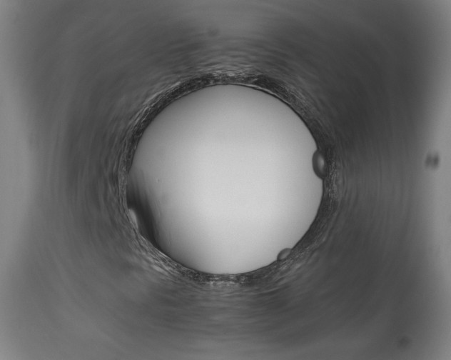 X0000113911297200909241255