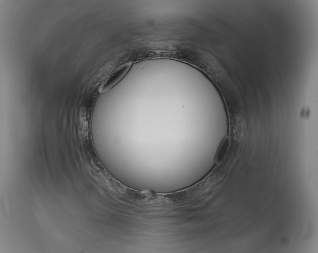 X0000113911298200909241255