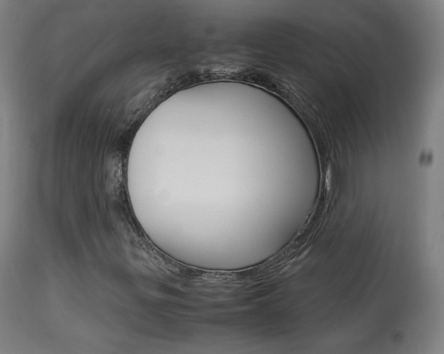 X0000113911299200909241255
