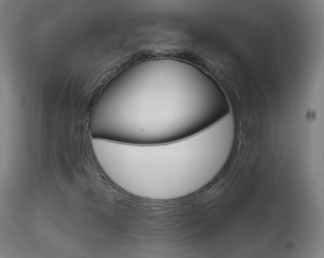 X0000113911300200909241255