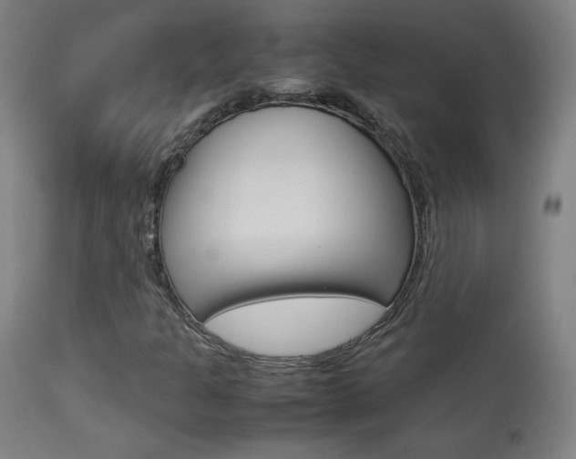 X0000113911301200909241255
