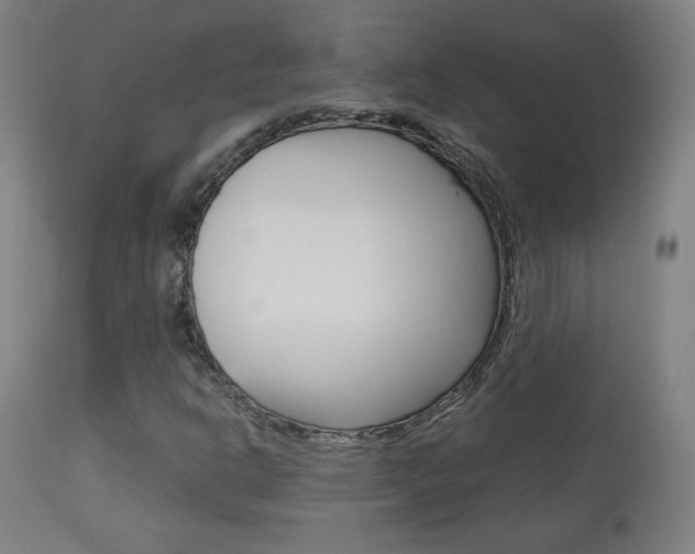 X0000113911302200909241255