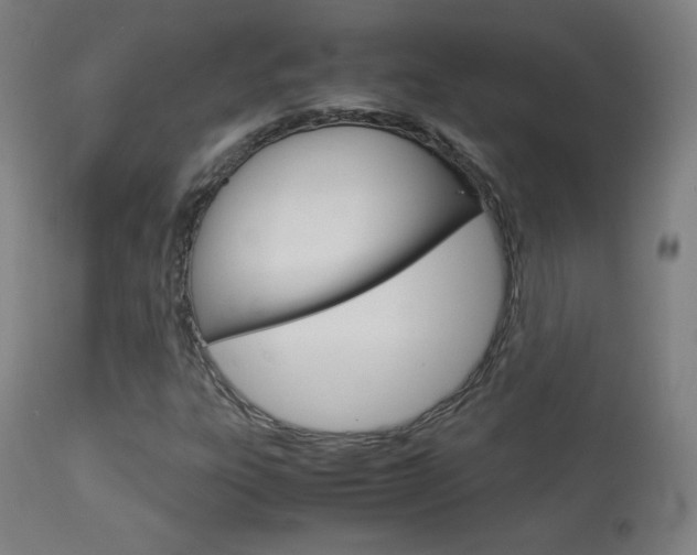 X0000113911303200909241255