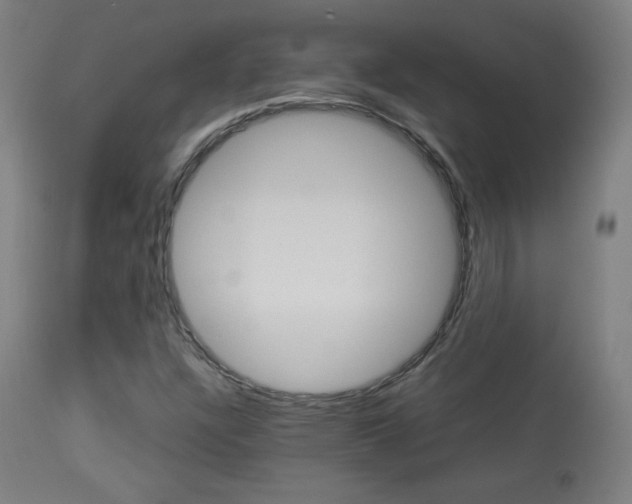 X0000113911304200909241255