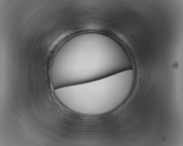 X0000113911307200909241256