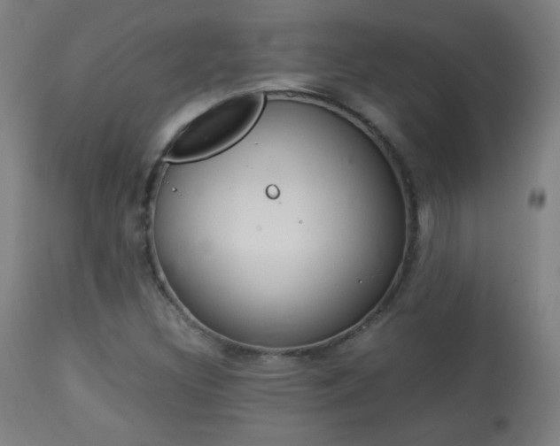 X0000113911308200909241256